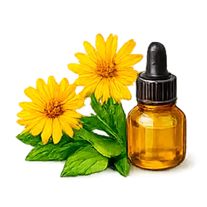 Movilin — extracto de árnica (Arnica montana)